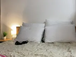 Amateur Best Webcam of SunriseGuys