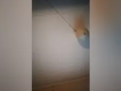 Amateur Watch Live Sex Cams of Mimidulce