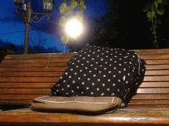 Amateur Live Sex Cam of AnnBigLabia25