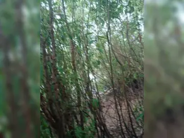Bongacams Sex Cam of AstahichAlena