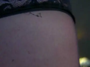 Bongacams Free Live Porn of GeorgiaLerox