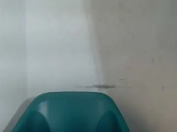 Bongacams Best live sex cam show of Sugarxpussy