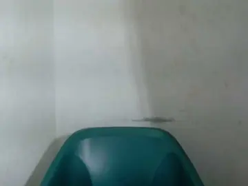 Bongacams Adult Webcams of Sugarxpussy