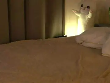 Bongacams Private Sex Chat of happywhores