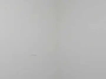 Bongacams Private Sex Chat of Ebony-Doll
