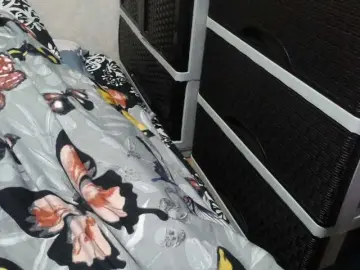 Bongacams Sex Cam of candyshane