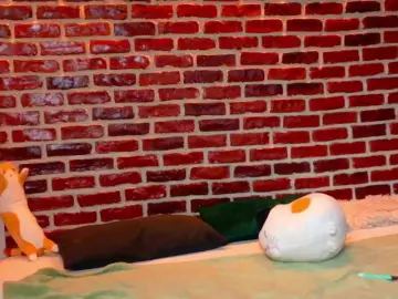 Bongacams Adult Webcam of HannahIsabellee