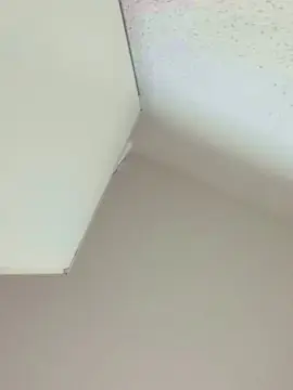 Cam4 Sex Cam of Biggboy