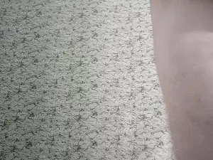 Cam4 Free Live Porn of Quiperte