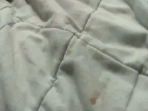 Cam4 Free Porn Cam of bigsperm