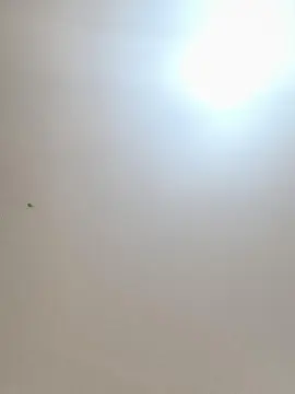 Cam4 Live Sex Cam of Daddyslut4u