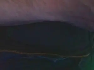 Cam4 Live Porn of VinHorny