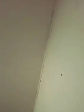 Cam4 Live Sex of Camilitaxxxxxxx