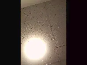 Cam4 Best live sex cam show of Beardedveteran