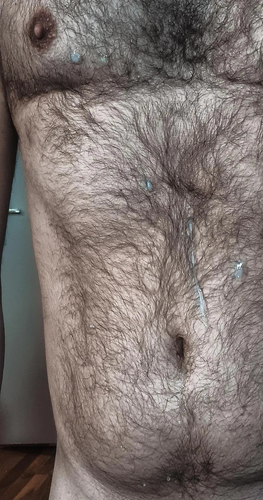 DocBear7