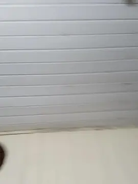 Cam4 Live Porn of JoohEhrat