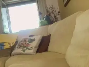 Cam4 Adult Webcam of martinabigst