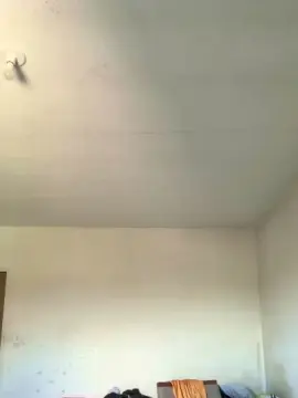 Cam4 Free Live Porn of Tj20cmm