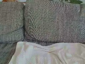 Cam4 Sex Cam of pussycatt0