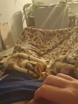 Cam4 Live Porn of Guerra2014