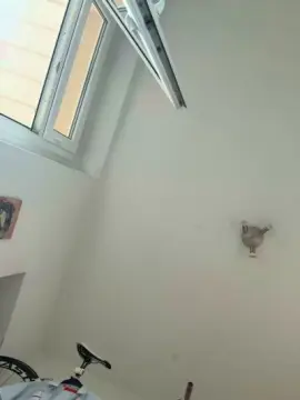 Cam4 Live Porn of Chemnitzfick