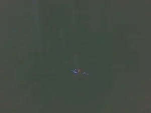 Cam4 Sex Cam of boost2469