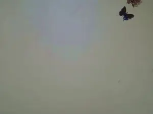 Cam4 Sex Cam of Talishaqueen