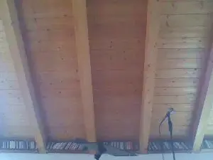 Cam4 Live Sex of shaggyvery
