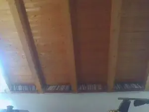 Cam4 Live Porn of shaggyvery