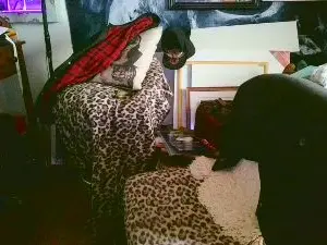 Cam4 Live Porn of blindsurfer