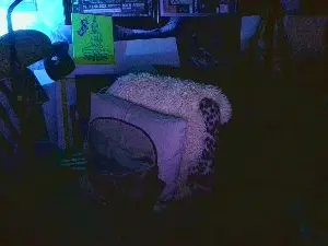Cam4 Sex Chat of blindsurfer