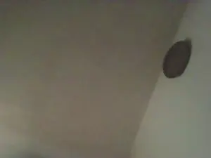Cam4 Live Sex of CreamyAdvisor