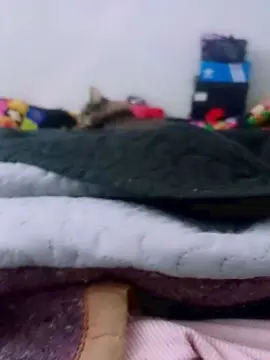Cam4 Nude Webcam of mojhei