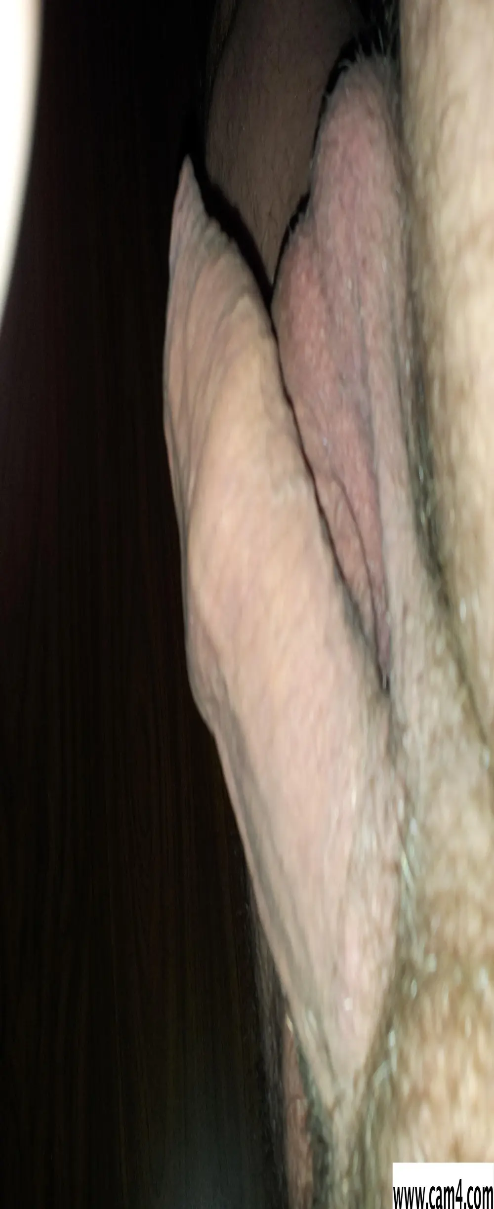 schnapper9