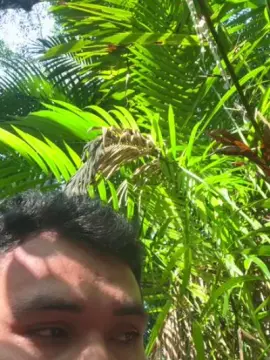 Cam4 Sex Cam of Guto6000