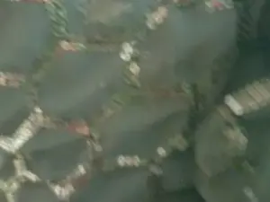Cam4 Live Porn of TABOOBREAKERS