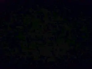 Cam4 Sex Chat of julienxlove