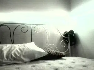 Cam4 Best Webcam of Inittowinit780