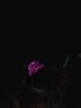 Cam4 Nude Webcam of morena652