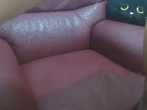 Cam4 Watch Live Sex Cams of likebesucked