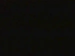 Cam4 Live Sex Cam of fayel2020