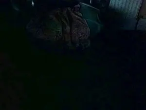 Cam4 Adult Video Chat of nolimits967