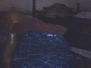 Cam4 Sex Chat of jp8incok