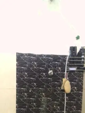 Cam4 Free Porn Cam of leonardobrasil3