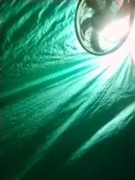 Cam4 Live Porn of Davidtj82