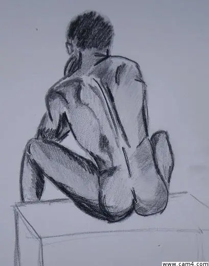 Camsdims