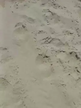 Cam4 Live Porn of daniel69sexyhot