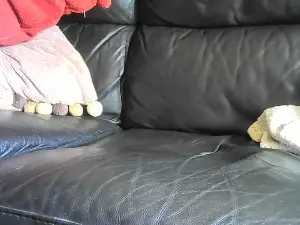 Cam4 Free Porn Cam of superdeejay2