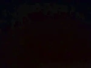 Cam4 Live Sex of BLU_KORALYN