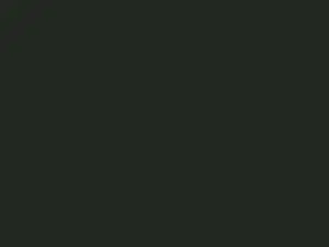 Cam4 Free Live Porn of VersieStickland
